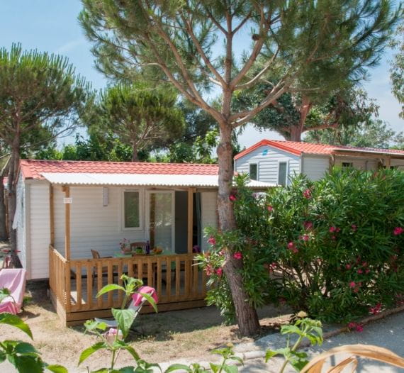 Bungalow Evasion