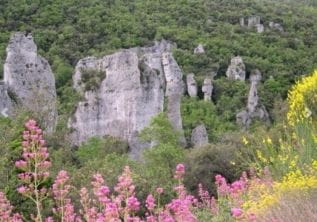 Trekking – Les Aiguilles de Valbelle