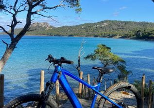 Noleggio biciclette – Porquerolles