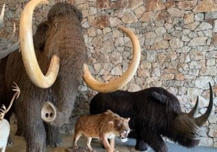 Museo della Preistoria e grotta storica – Quinson